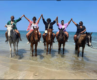 Horseback Riding, Dunns River Fall, Zipline & Blue Hole