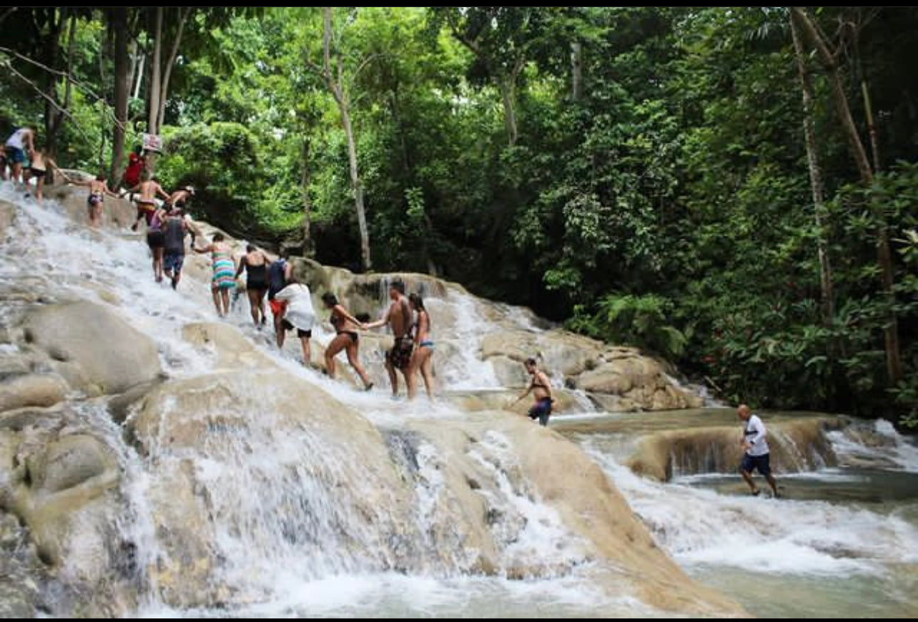 Horseback Riding, Dunns River Fall, Zipline & Blue Hole